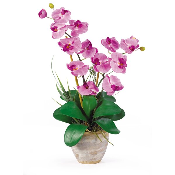 Nearly Natural Double Phalaenopsis Silk Orchid Flower in Mauve ...