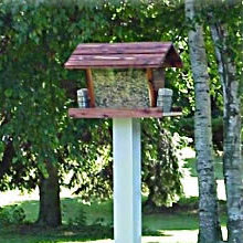 Lantern Bird Feeder Wayfair