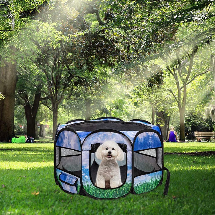 guinea pig outdoor playpen