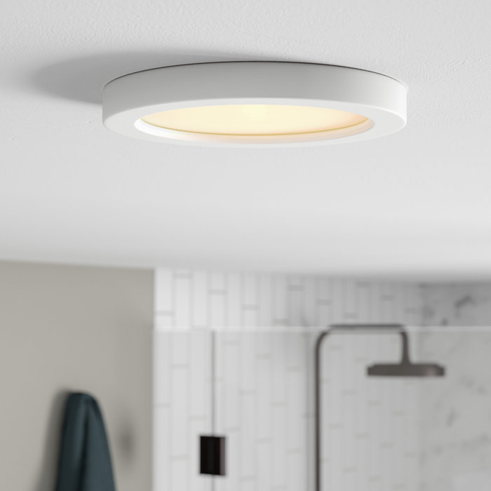 Orren Ellis Elzy Round 1 Light Led Flush Mount Reviews Wayfair