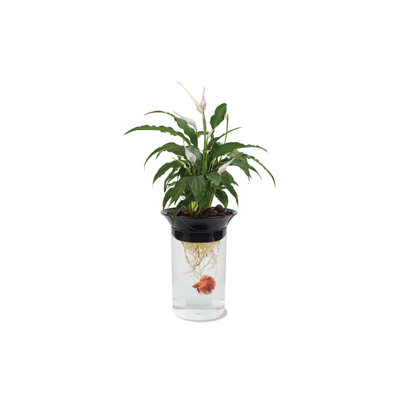 1.4 Gallon Nature's Aqua-Ponic Aquarium Bowl Penn Plax