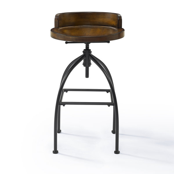 Delacruz Adjustable Height Bar Stool by Williston Forge