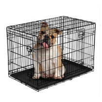 medium dog crate with divider