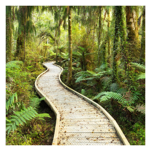 Path Through the Jungle 2.4m x 2.4m Textured Matte Peel & Stick Wall Mural East Urban Home