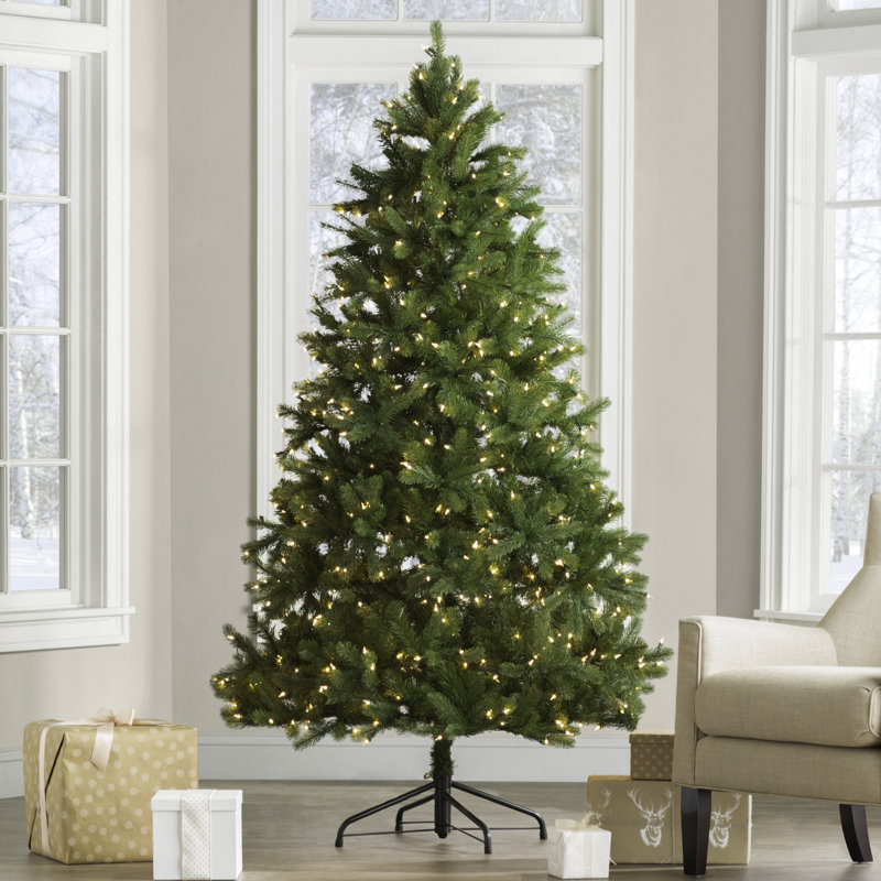 Downswept Douglas 6 5 Green Fir Artificial Christmas Tree With 650 Clear Lights And Stand Downswept Douglas 6 5 Green Fir Artificial Christmas Tree With 650 Clear Lights And Stand