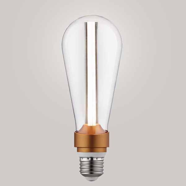 15W Equivalent Amber E26/Medium LED S-Type Edison Light Bulb by Globe Electric Company