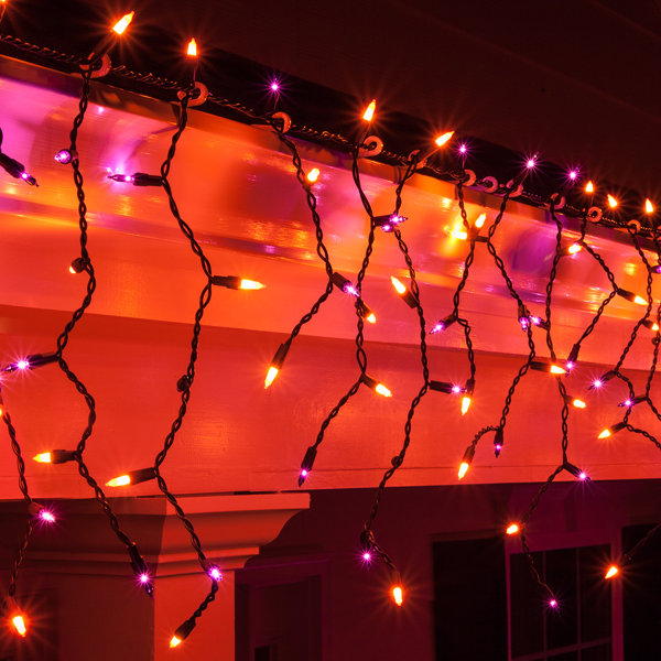 Mini Icicle Light by Kringle Traditions