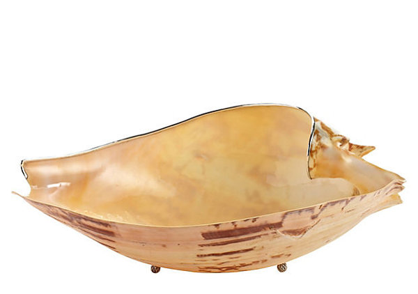 Steephill Cut Volute Shell Vessel Gravy Boat by Rosecliff Heights