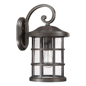 Autry 1-Light Outdoor Wall Lantern