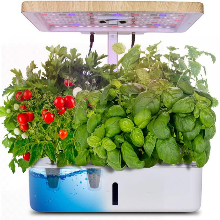 Taykoo Moistenland Hydroponics Growing System Indoor Herb Garden Starter Kit W Led Grow Light Plant Germination Kits 12 Plant Pots For Home Kitchen Gardening 12 Pots Wayfair