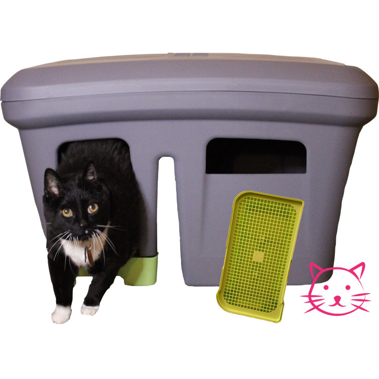 inclosed litter box