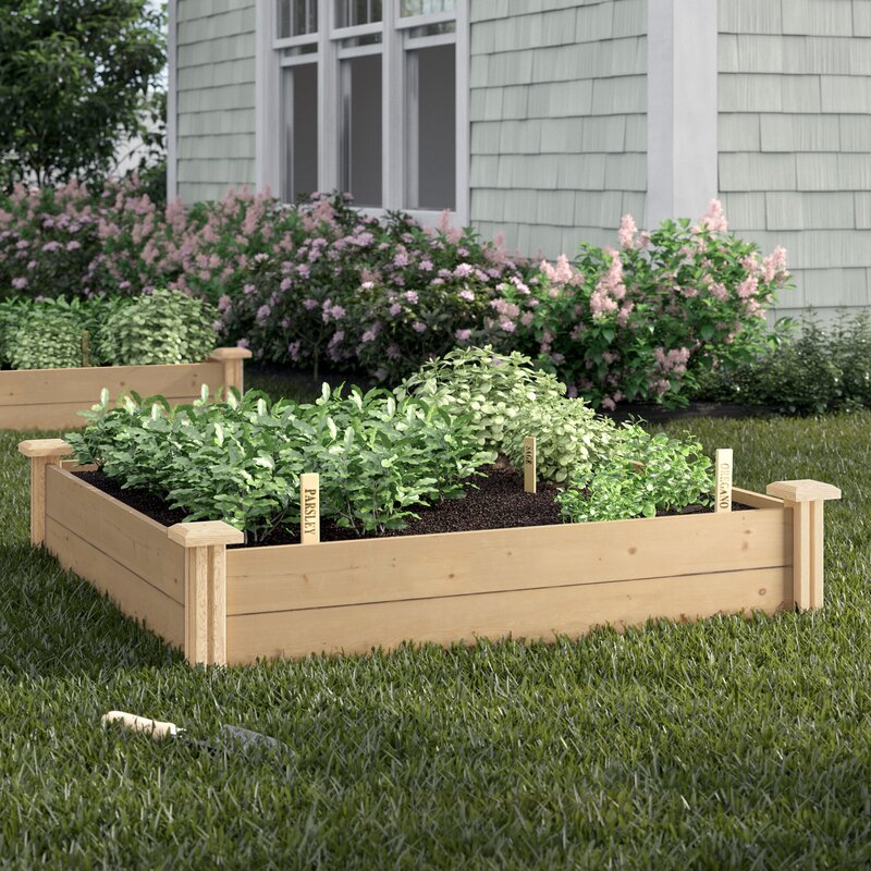 Rosecliff Heights Makris Wood Planter Box &amp; Reviews ...