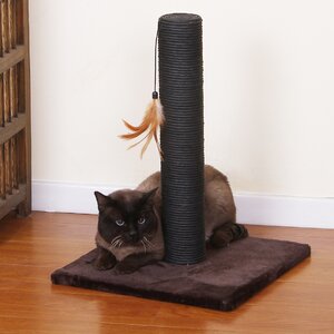 Cinch Scratching Post