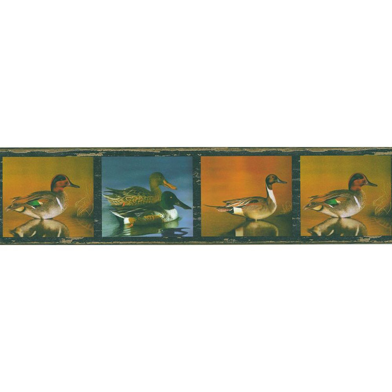 Millwood Pines Clarita Birds 15 L X 6 88 W Wallpaper Border