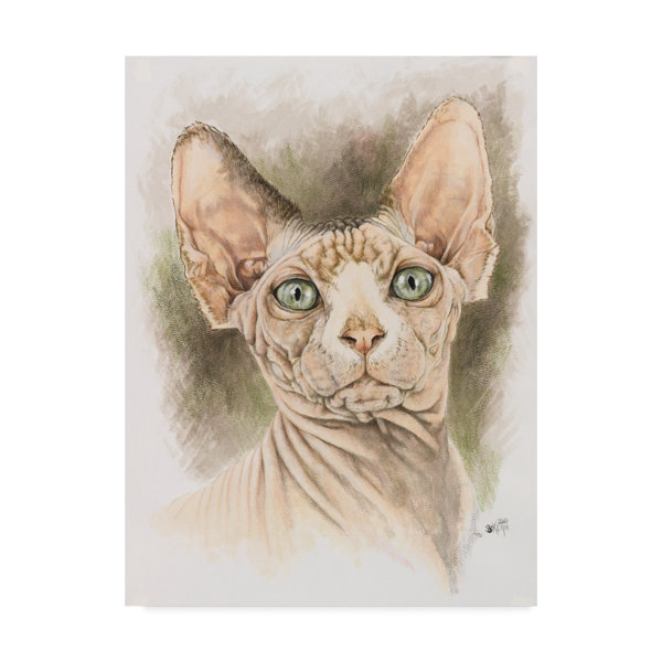 Trademark Art Sphinx Vintage Advertisement On Wrapped Canvas