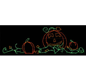 Pumpkin Patch LED Light