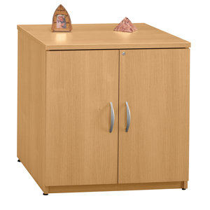 Series C 2 Door Storage Cabinet