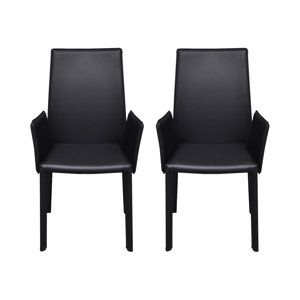 2-tlg. Armlehnstuhl-Set von Home Etc