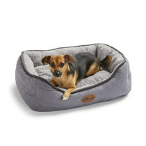 cute small dog beds