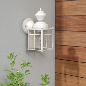 Larsen 1-Light Outdoor Wall Lantern