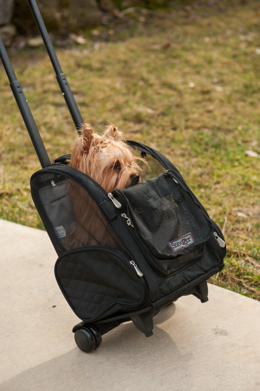 Snoozer Wheel Around Travel Pet Carrier & Reviews Wayfair