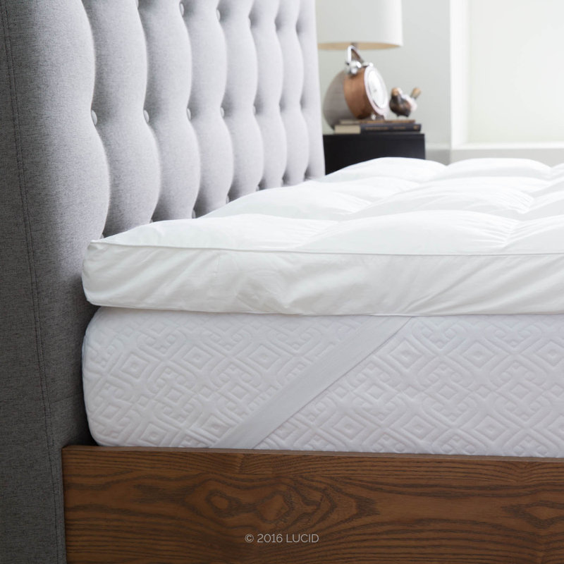 Lucid 3" Down Alternative Mattress Topper & Reviews Wayfair