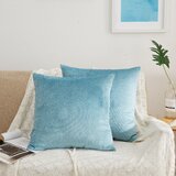 Lush Decor Pillows Wayfair