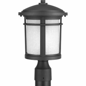 Chamberlain 1-Light Lantern Head