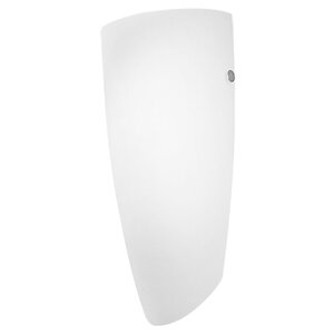 Rayne 1-Light Wall Sconce