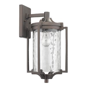 Chateaugay 1-Light Outdoor Sconce