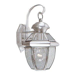 Gustavson 1-Light Outdoor Glass Wall Lantern