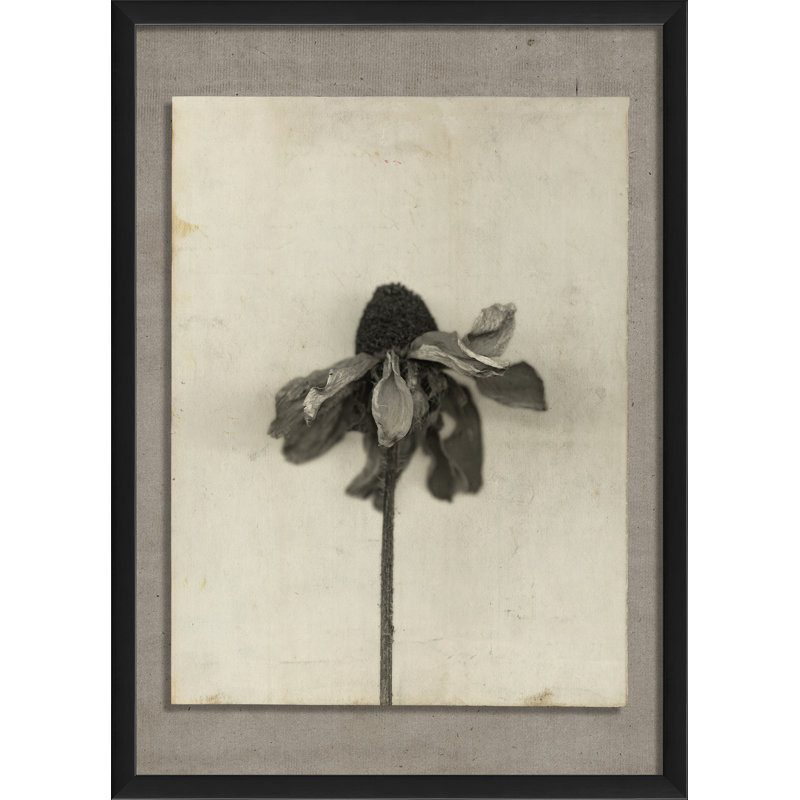 Flower Framed Photographic Print