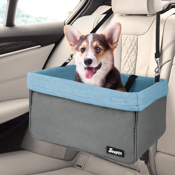 small dog carrier for car