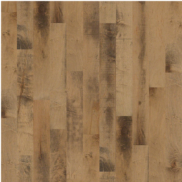 Anniston 5 Engineered Maple Hardwood Flooring in Noble by Shaw Floors