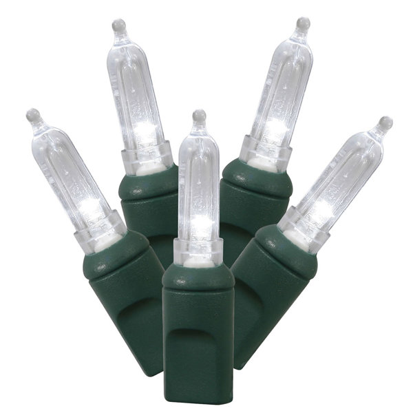 100 Lights LED / GW Italian EC by Vickerman
