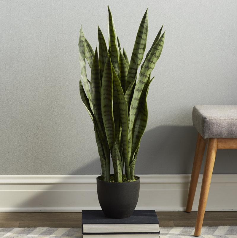 Faux Snake Plant in Pot &amp; Reviews Joss &amp; Main