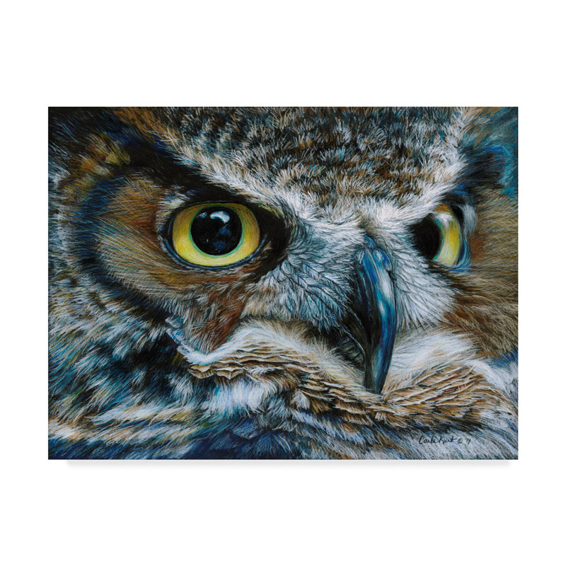 World Menagerie Dark Owl Acrylic Painting Print On Wrapped