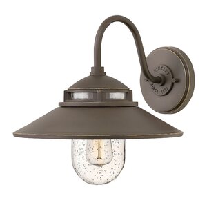 Hellebore 1-Light Outdoor Barn Light