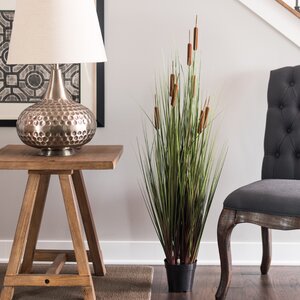 Cattails Foliage Grass in Pot