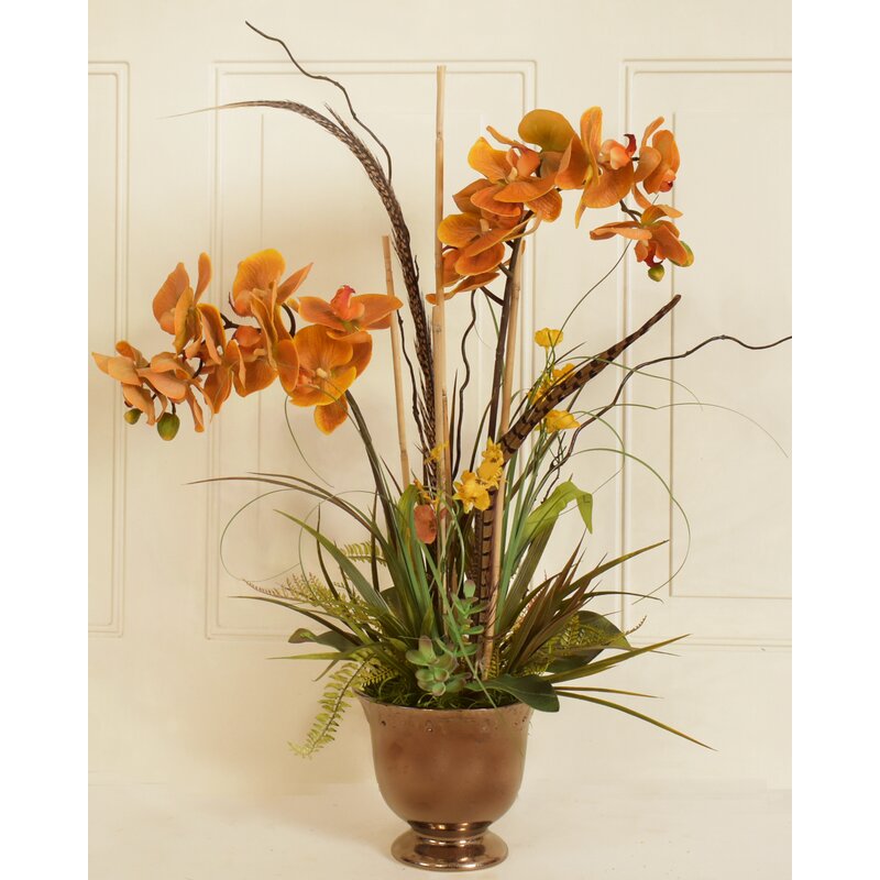 Fleur De Lis Living Orchids Flower Floral Arrangement In Vase