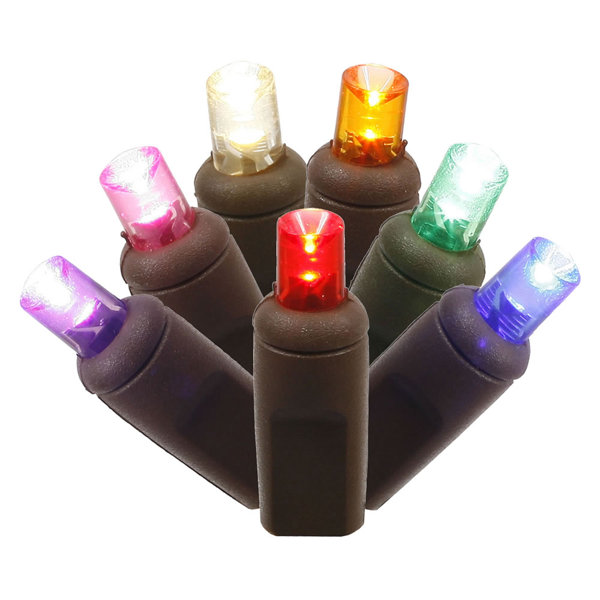 Wide Angle 70 Light String Lighting by The Holiday Aisle