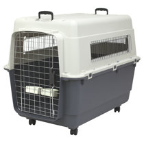 plastic collapsible dog crate