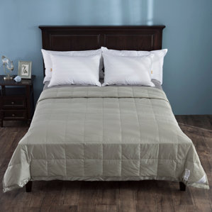 Heavy Weight Duvet Insert Down Comforters Inserts Wayfair Light Weight Down Duvet Insert