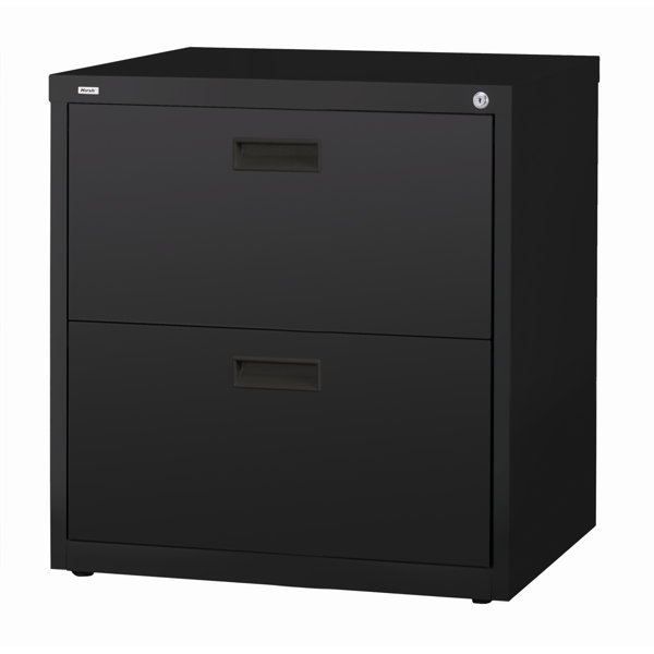 Darius 2-Drawer Lateral File by Symple Stuff