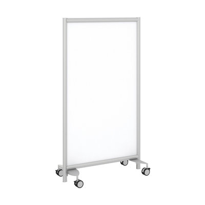 Frosted Glass Room Divider | Wayfair