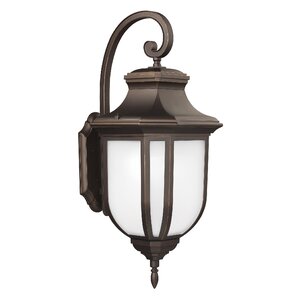 Teri 1-Light Outdoor Wall Lantern