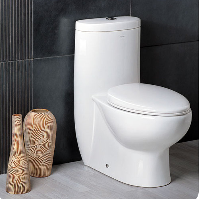 Delphinus Dual Flush Elongated One Piece Toilet Seat Included