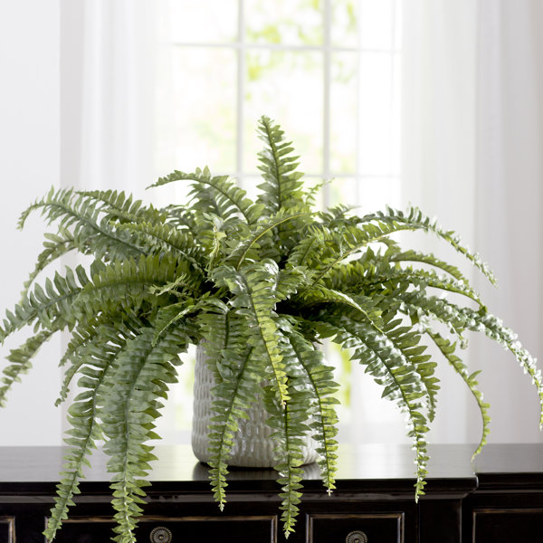 Charlton Home Boston UltraLifelike 60Frond Fern Plant