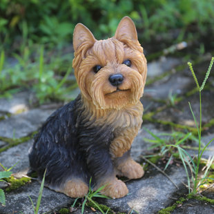 Outdoor Yorkie Dog Statues Wayfair Sitting Yorkshire Terrier Dog Statue