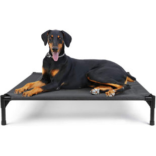 bunty dog beds amazon